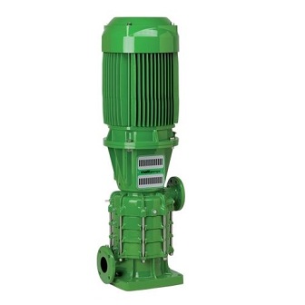 219320000 Afbeelding