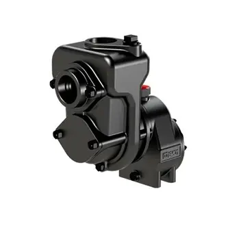 219048000 Afbeelding