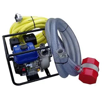 290439000 Afbeelding