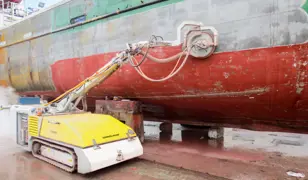 Dockboy 18