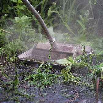 290512000 Afbeelding3