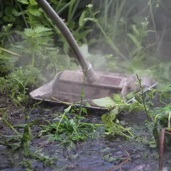 290512000 Afbeelding3