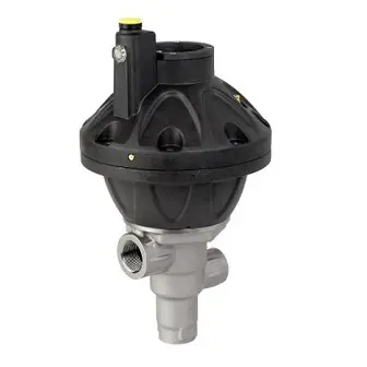 269941000 Afbeelding