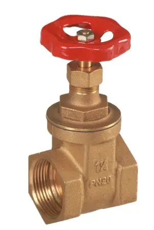 217589000 Afbeelding