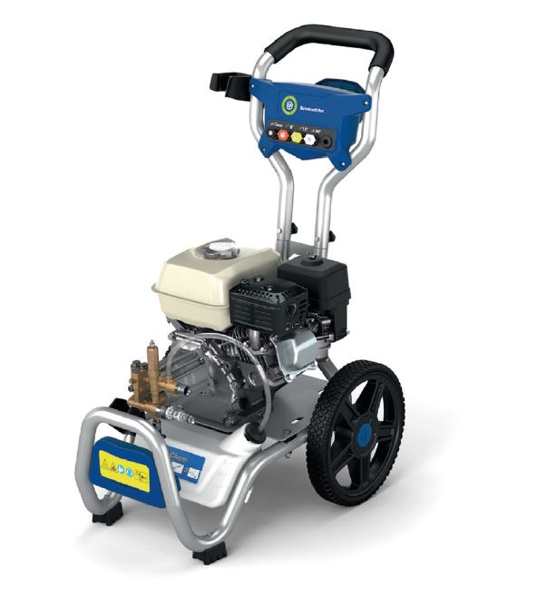 202257001 Rex Afbeelding