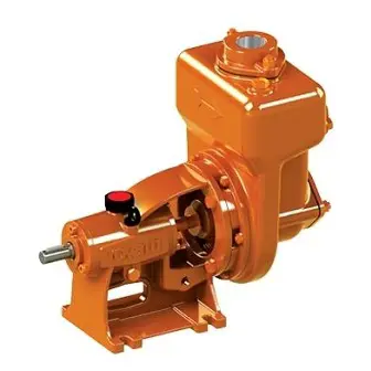 219558000 Afbeelding