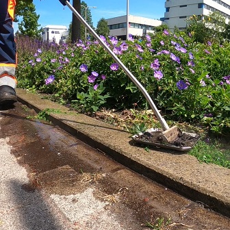 290512000 Afbeelding4